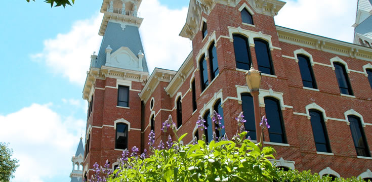 ddos网页在线攻击